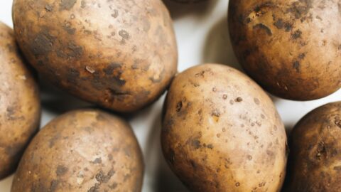 close up photo of potato